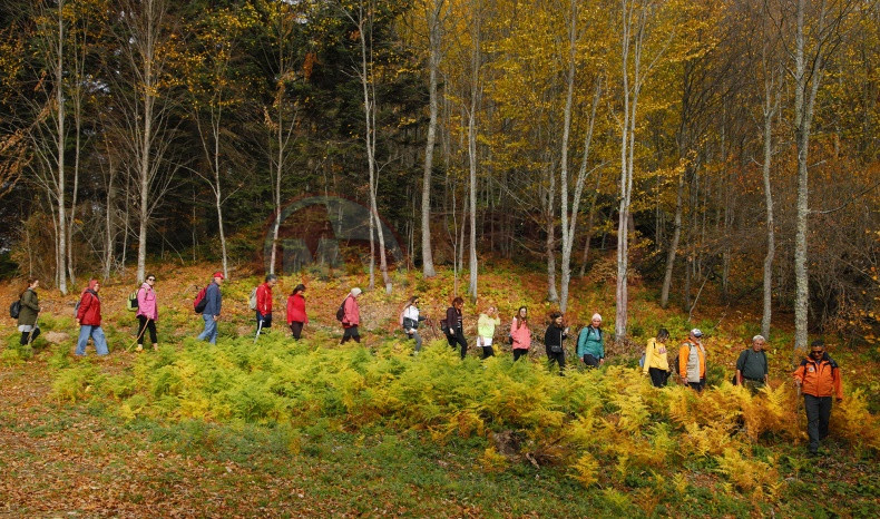 Doga Yuruyusleri Basliyor (5)