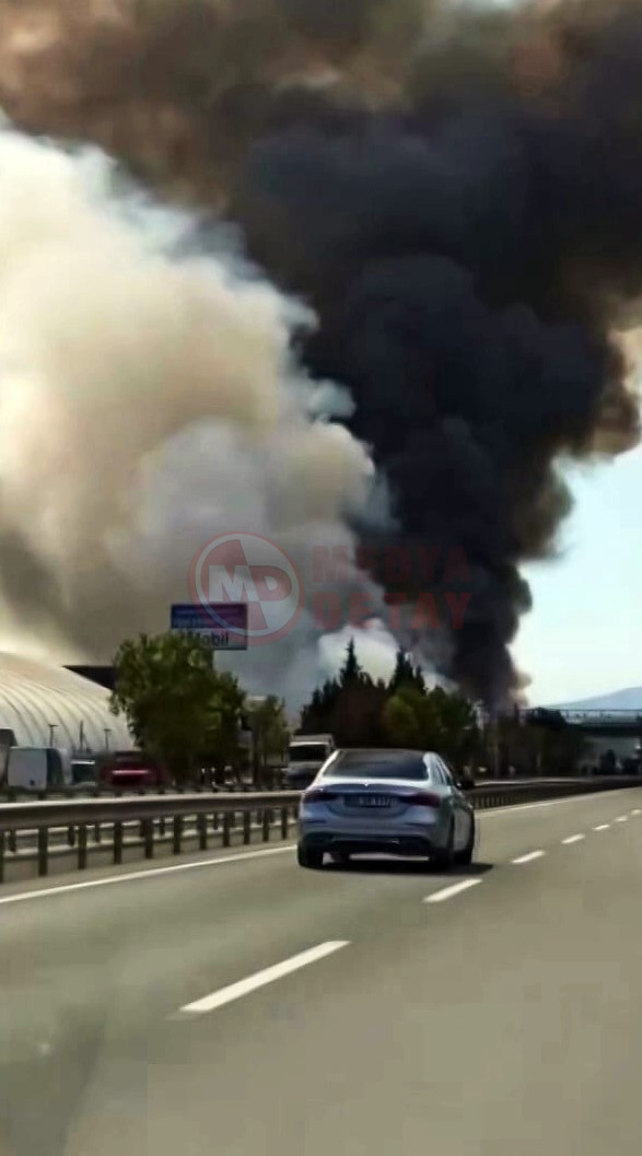 Karayolunda Yangin3-1