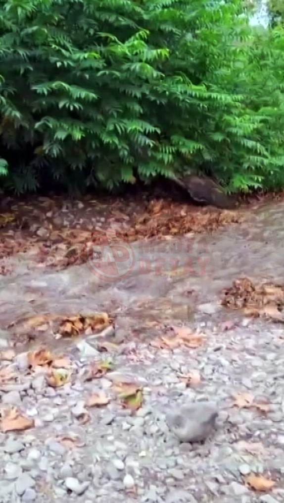 Maden Deresi Suyla Bulustu6