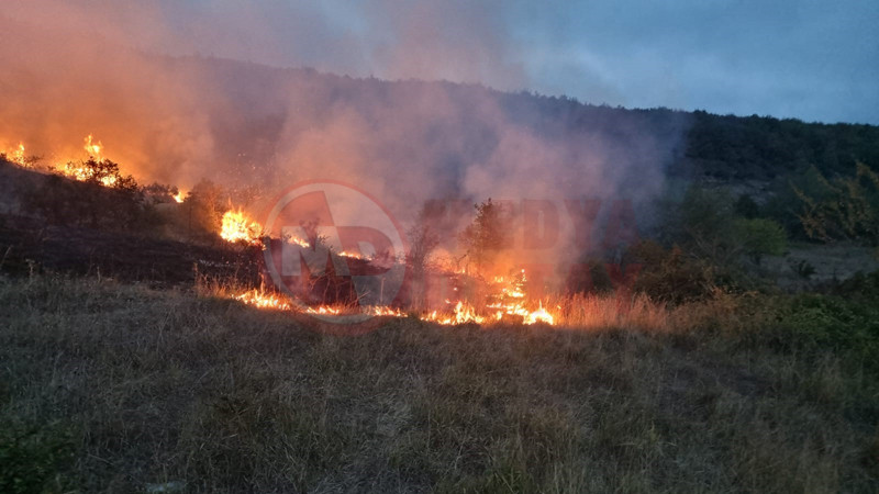 Makilik Alanda Yangin2