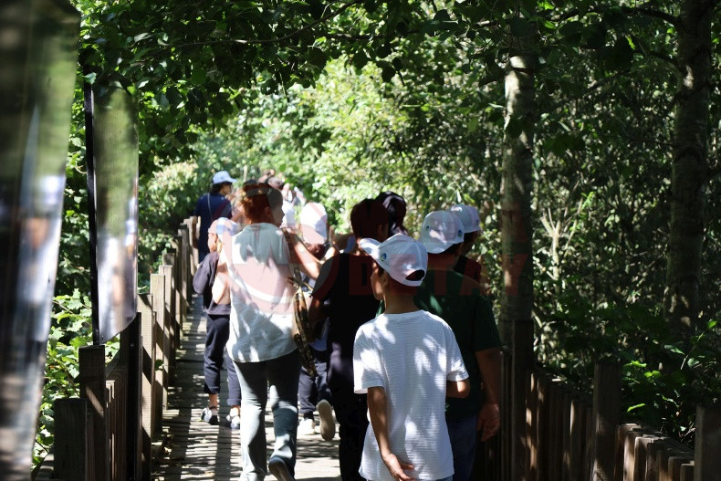 Plogging Akimi Karasu Sahiline Ulasti (5)