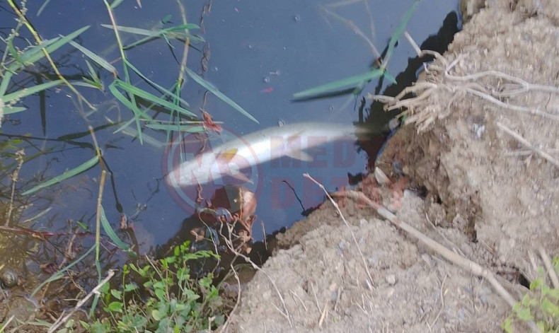 Sakarya Fabrika Atiklari Krizi (1)