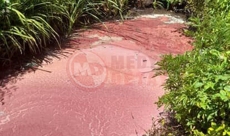 Sakarya Fabrika Atiklari Krizi (4)