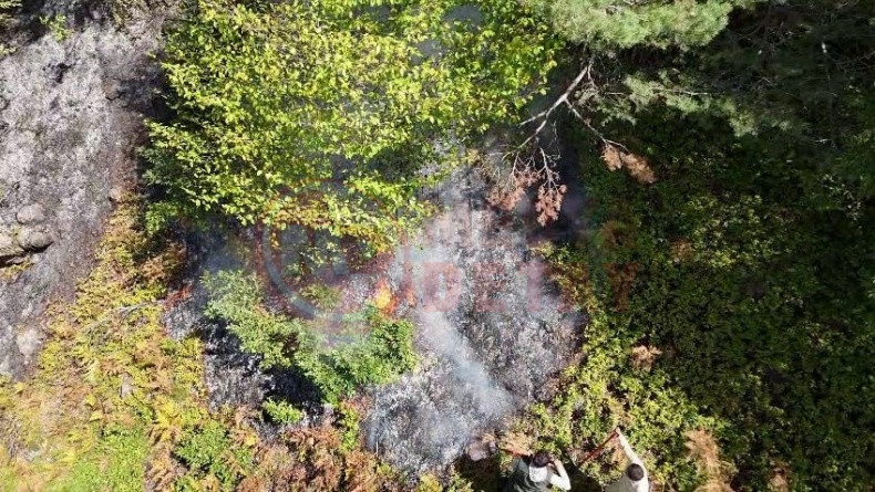 Sakaryada Orman Yangini Suruyor (2)