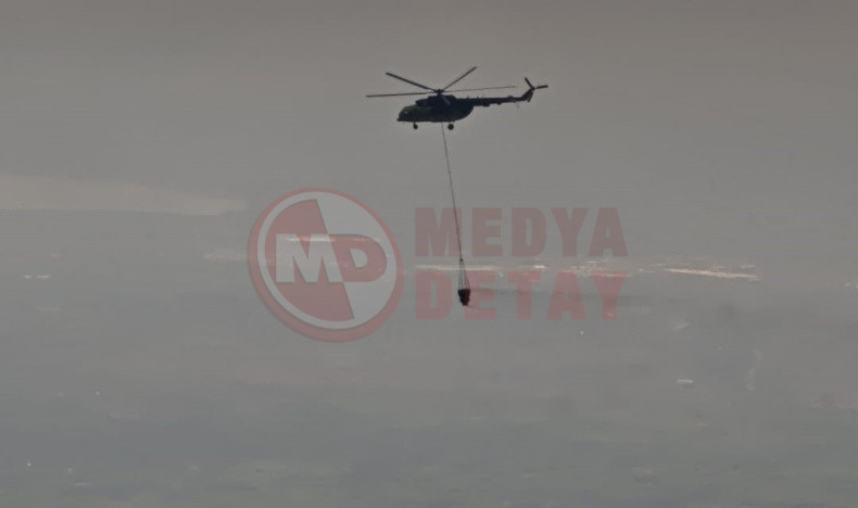 Sakaryada Orman Yangini Suruyor (3)