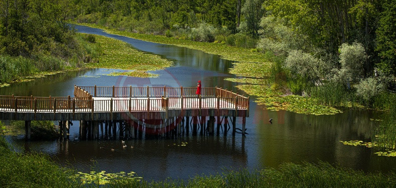 Turkiye Kultur Yolu Festivali Sakarya (4)
