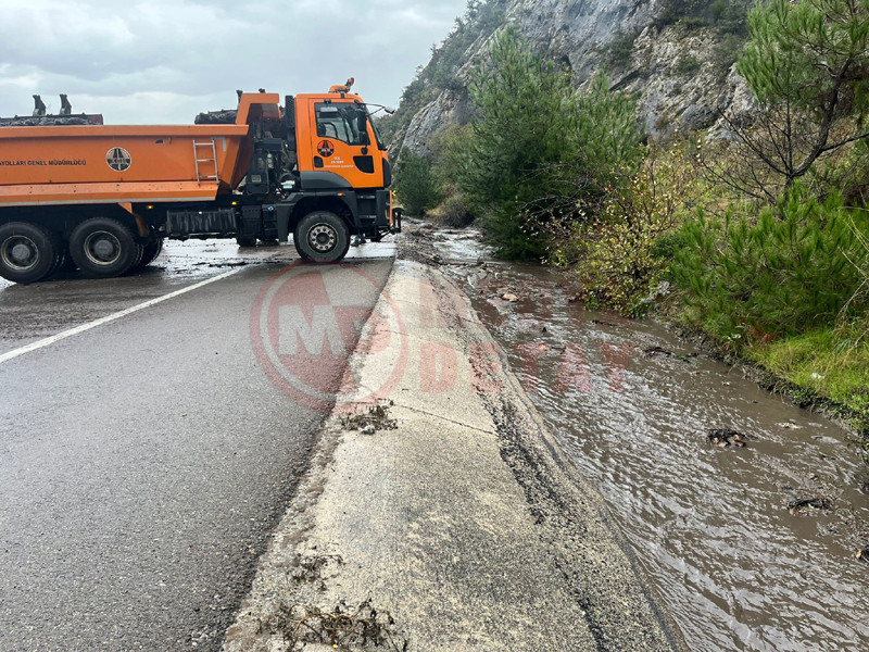 D650 Ulasima Kapandi2