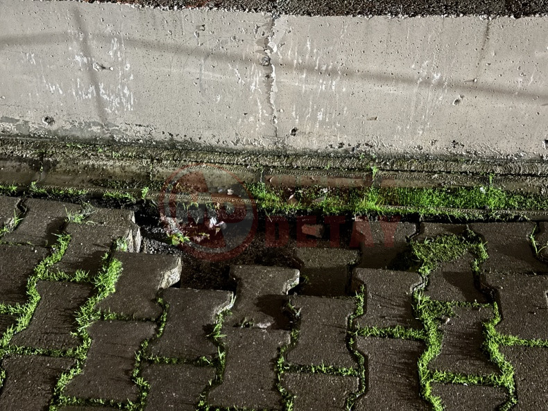 Depremin Ardindan Sakarya (3)