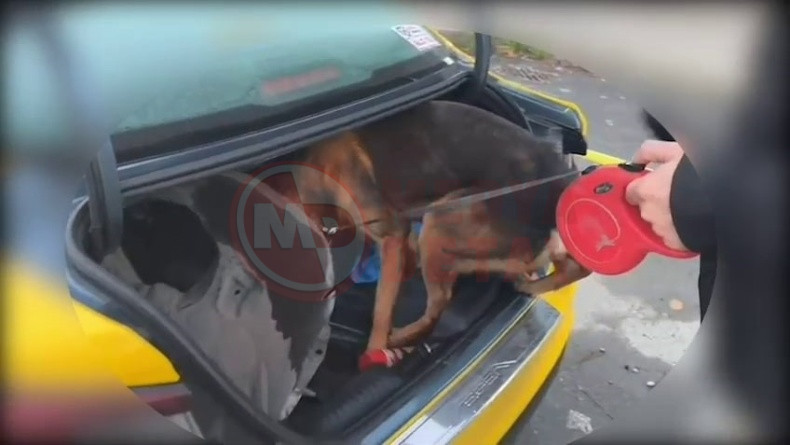 Istanbul Sakarya Uyusturucu Sevkiyati (3)-1