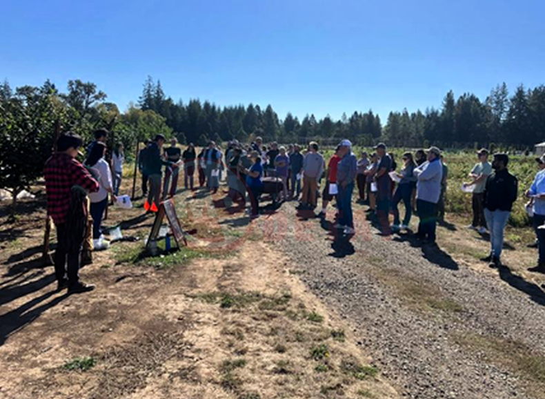 Kahverengi Kokarca Ile Mucadeleyi Anlatti (1)-1