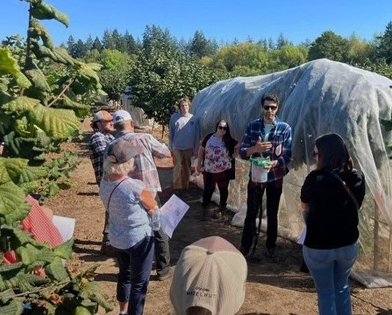 Kahverengi Kokarca Ile Mucadeleyi Anlatti (2)