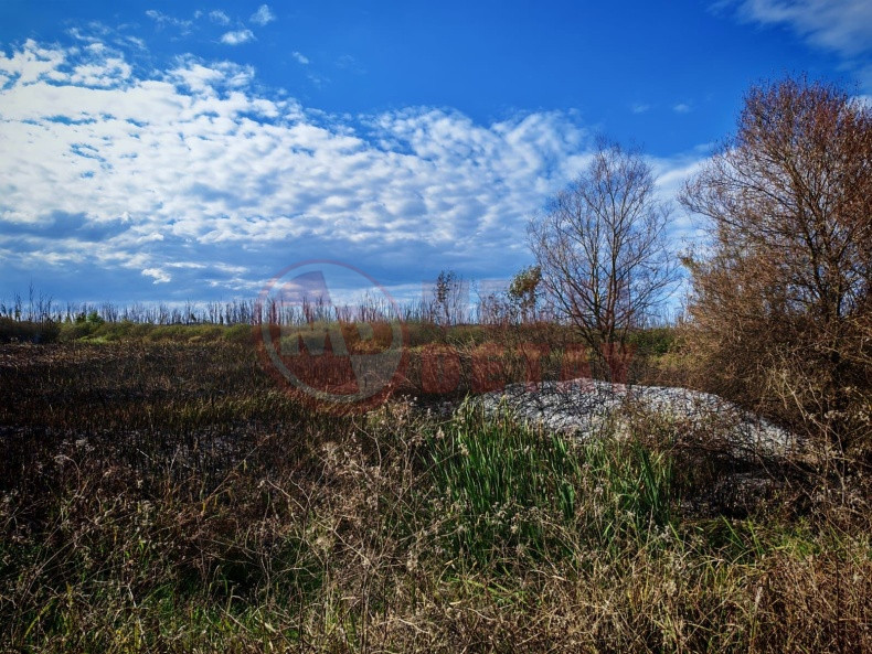 Otluk Alanda Korkutan Yangin (2)