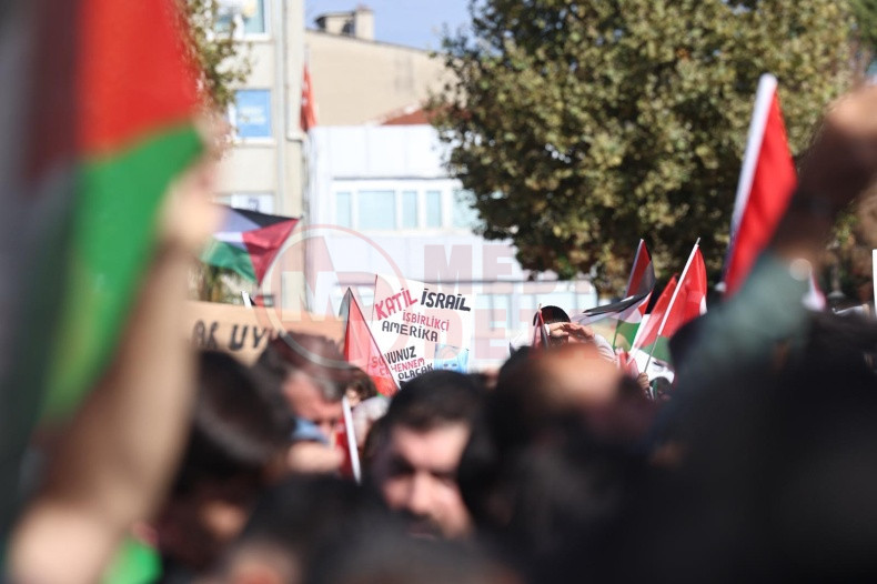 Sakarya Ozgur Filistin Yuruyusu (7)