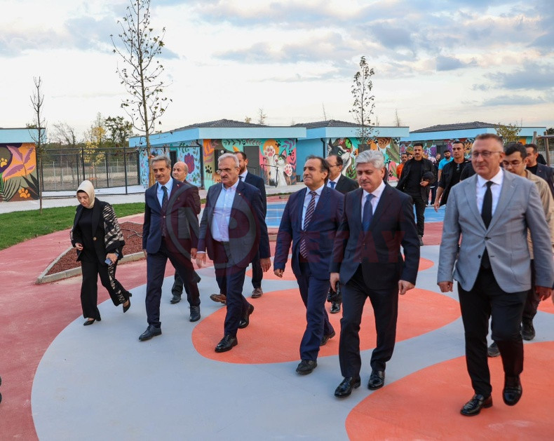 Sokak Hayvanlari Dogal Yasam Kampusu (3)