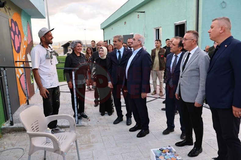 Sokak Hayvanlari Dogal Yasam Kampusu (4)