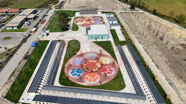 Sokak Hayvanlari Dogal Yasam Kampusu (6)