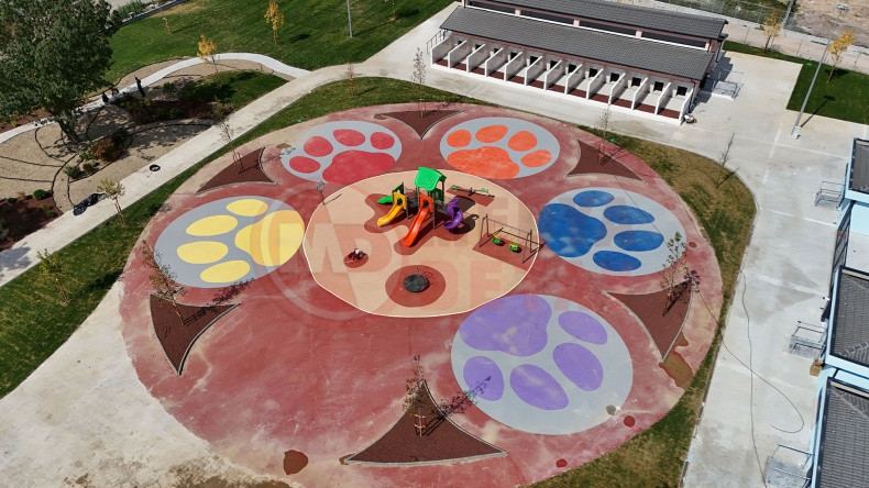 Sokak Hayvanlari Dogal Yasam Kampusu (7)