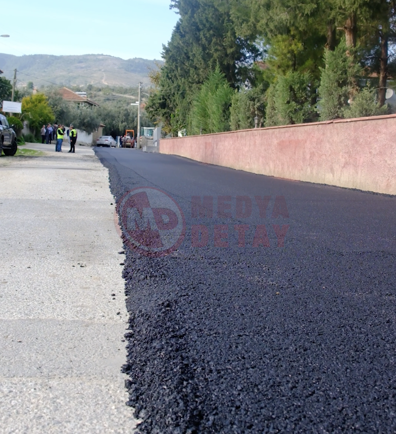 Baskan Alemdar Pamukova'da3