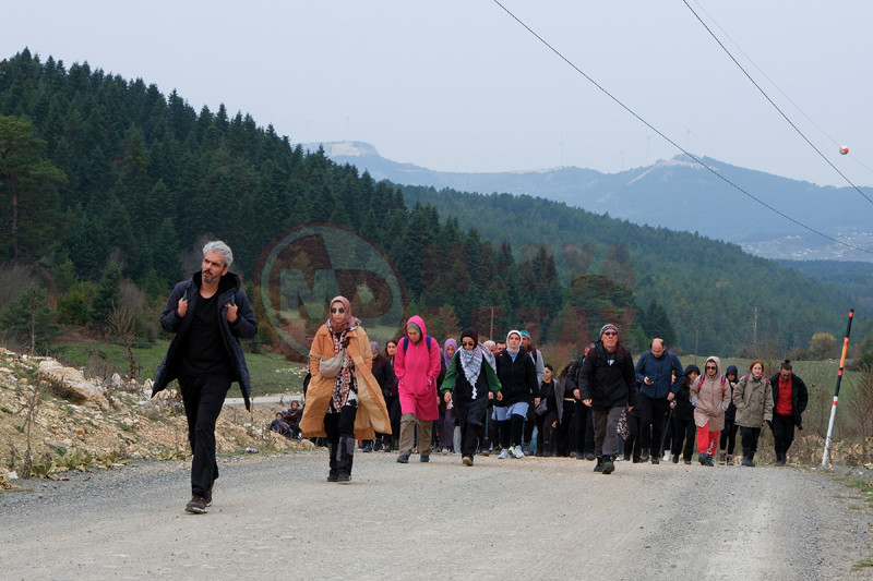 Buyuleyici Yolculuk3