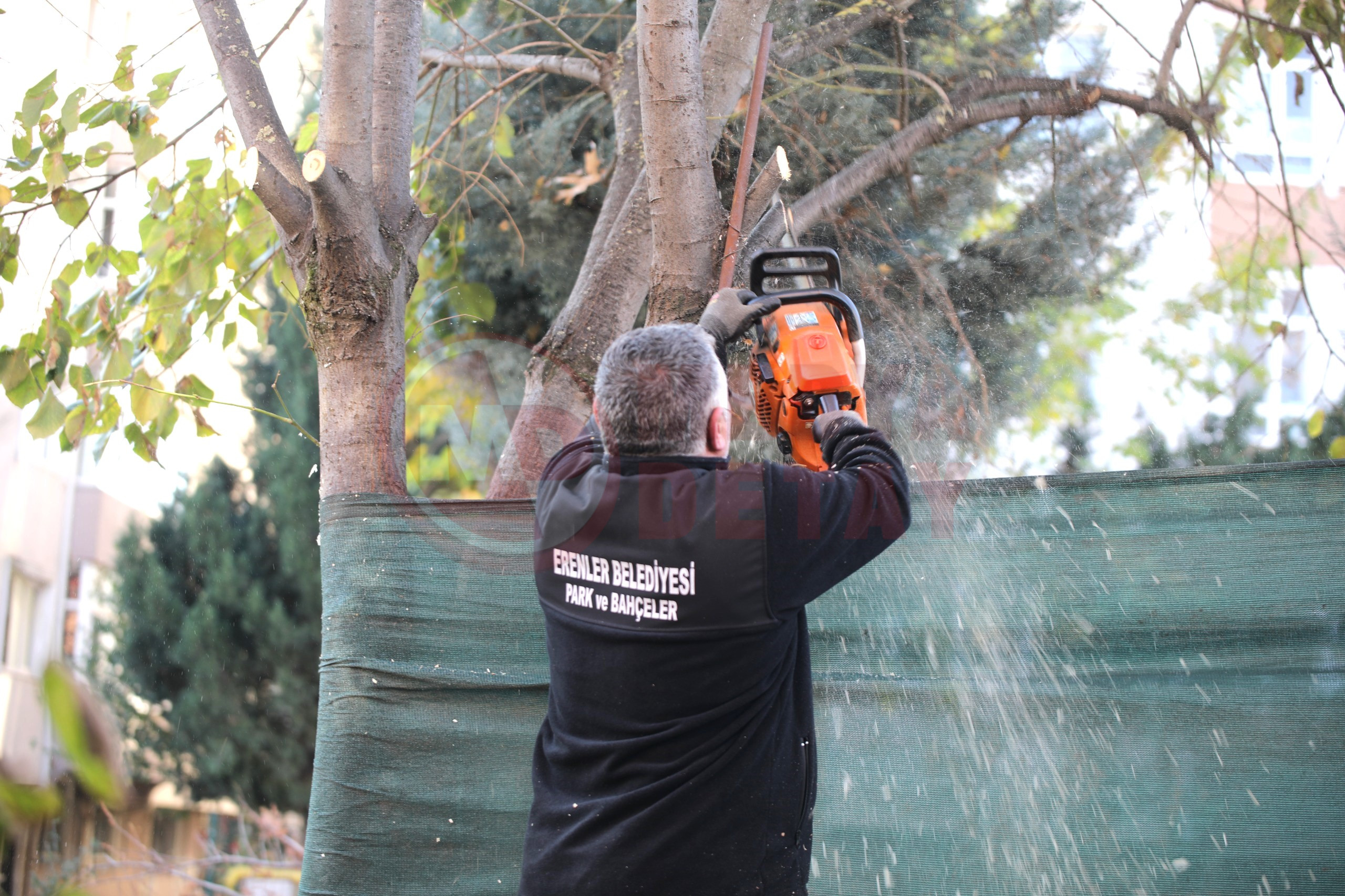 Erenler’de Park Ve Bahçelerde Çalişmalar Hiz Kesmi̇yor (2)