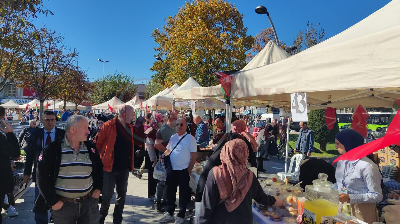 Kermes (2)