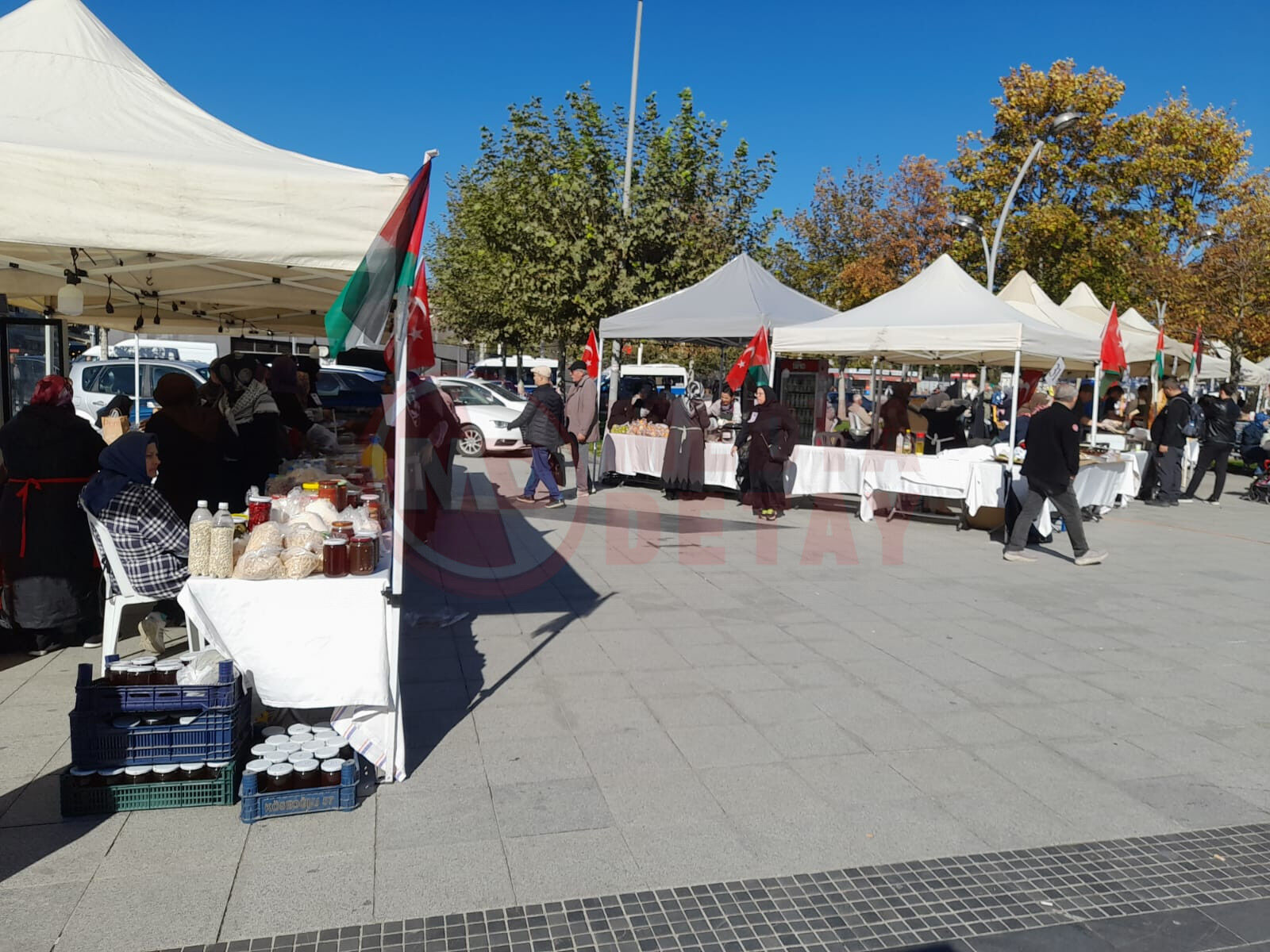 Kermes (4)
