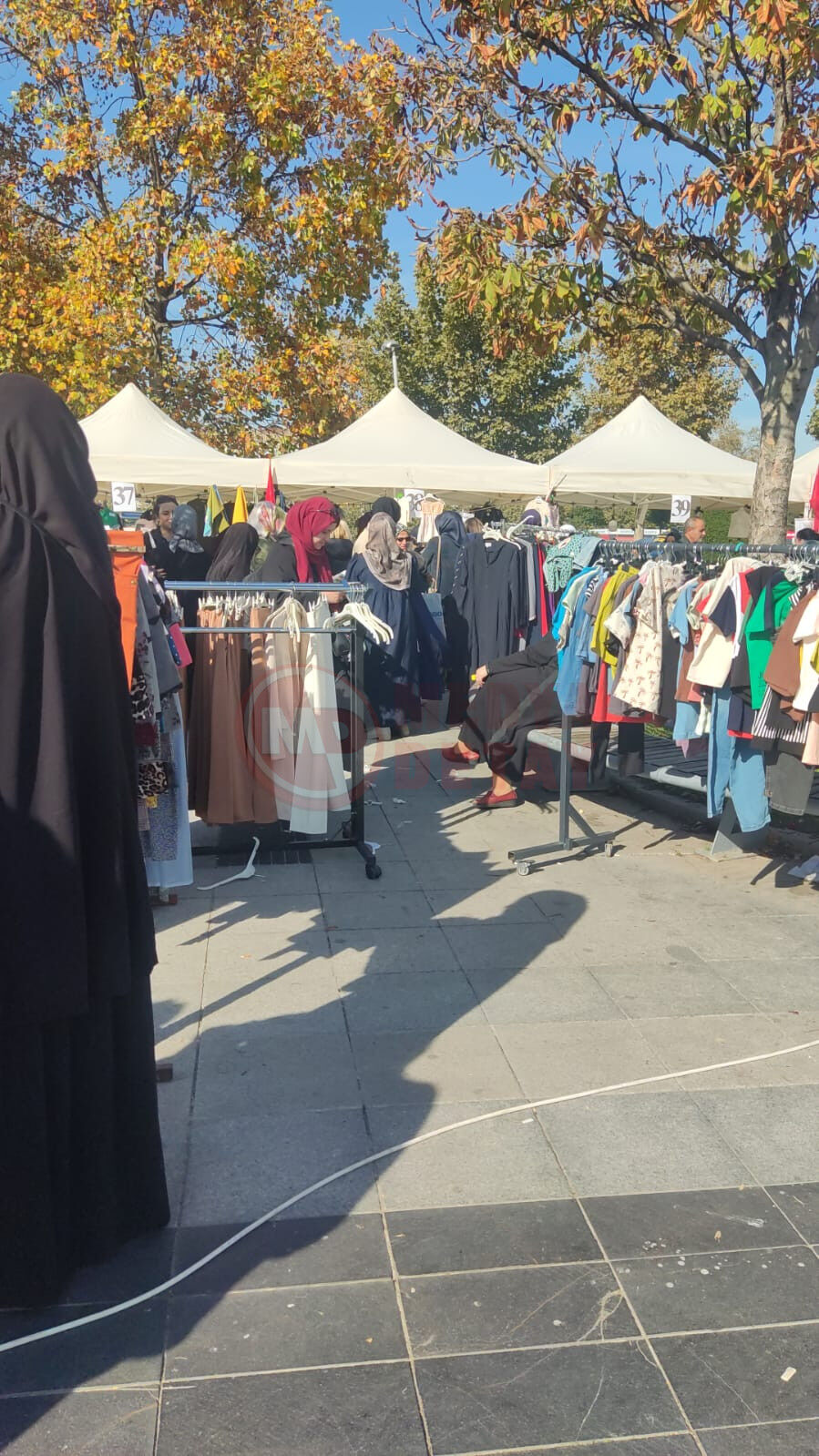 Kermes (5)