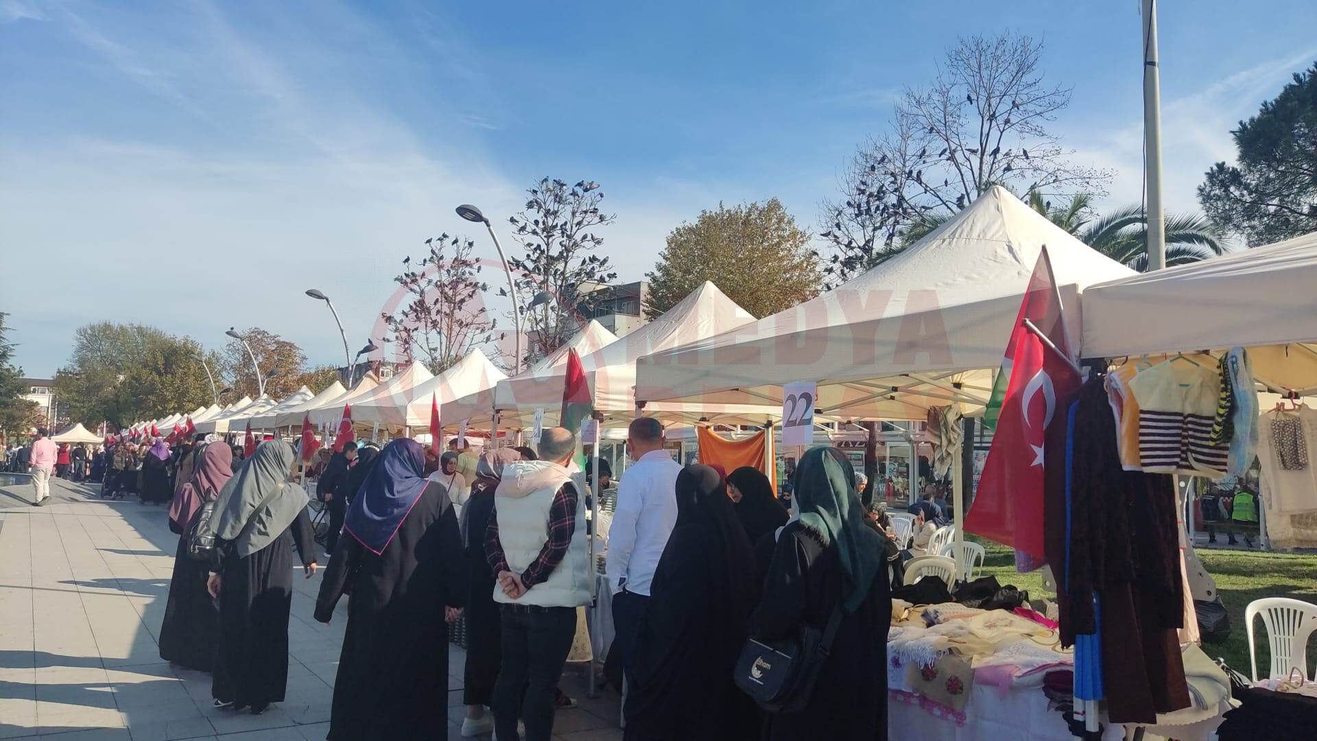 Kermes (6)
