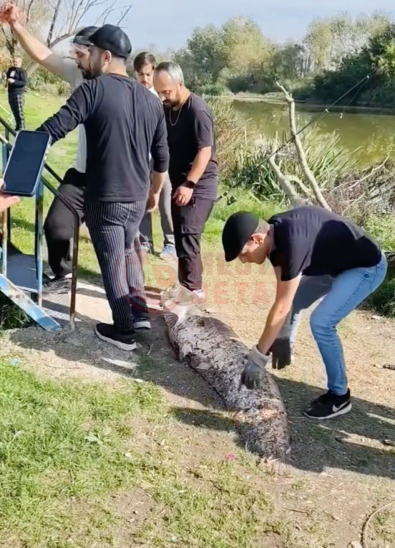 Oltasina 50 Kiloluk Balik Yakalandi (1)