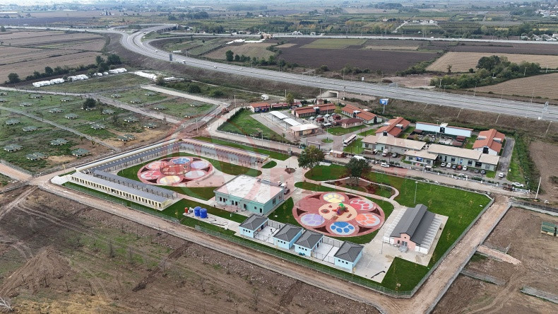 Pati Izi Projesi (2)