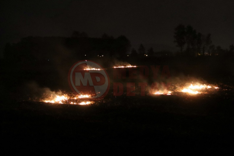 Sakarya Aniz Yangini (2)