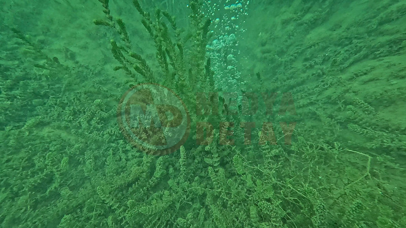 Sapanca Golu Deprem Habercisimi3