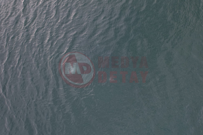 Sapanca Golu Deprem Habercisimi6