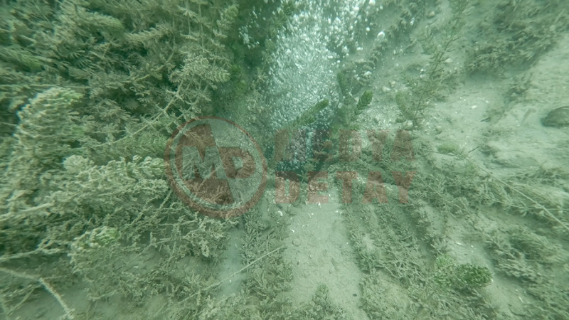 Sapanca Golu Deprem Habercisimi7