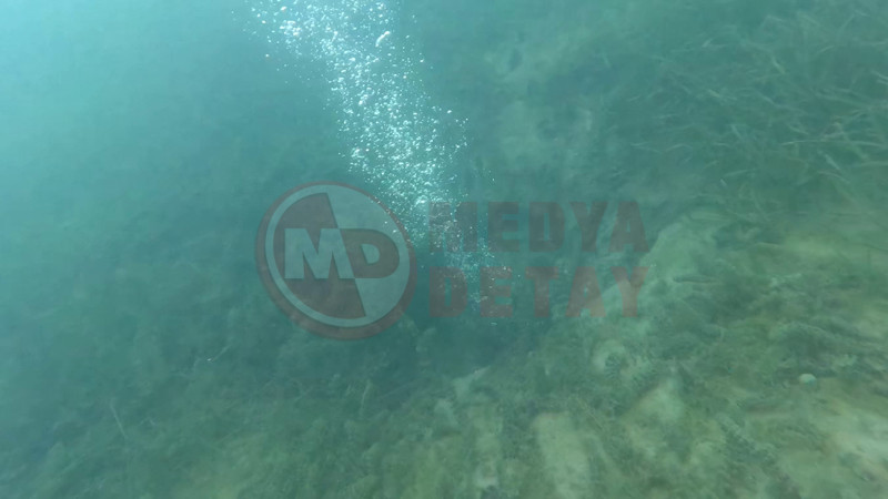 Sapanca Golu Kayniyor3