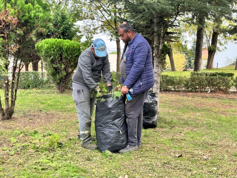 Serdivan Yesil Alan Bakim Calismasi (1)