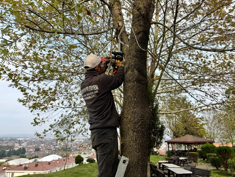 Serdivan Yesil Alan Bakim Calismasi (3)