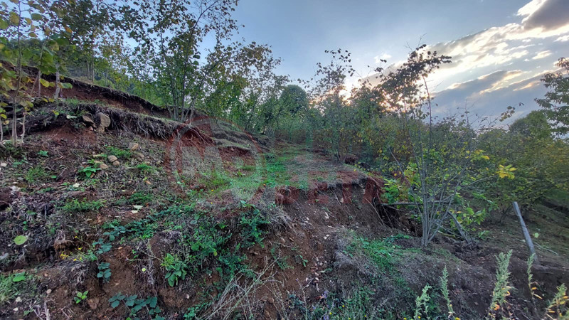 Tas Ocagi Mahalleyi Yok Ediyor11