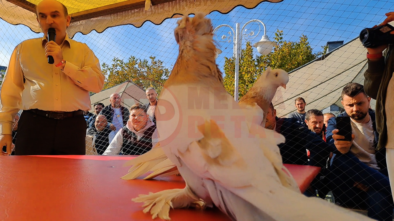 Whatsapp Image 2025 11 02 At 16.24.02 (1)