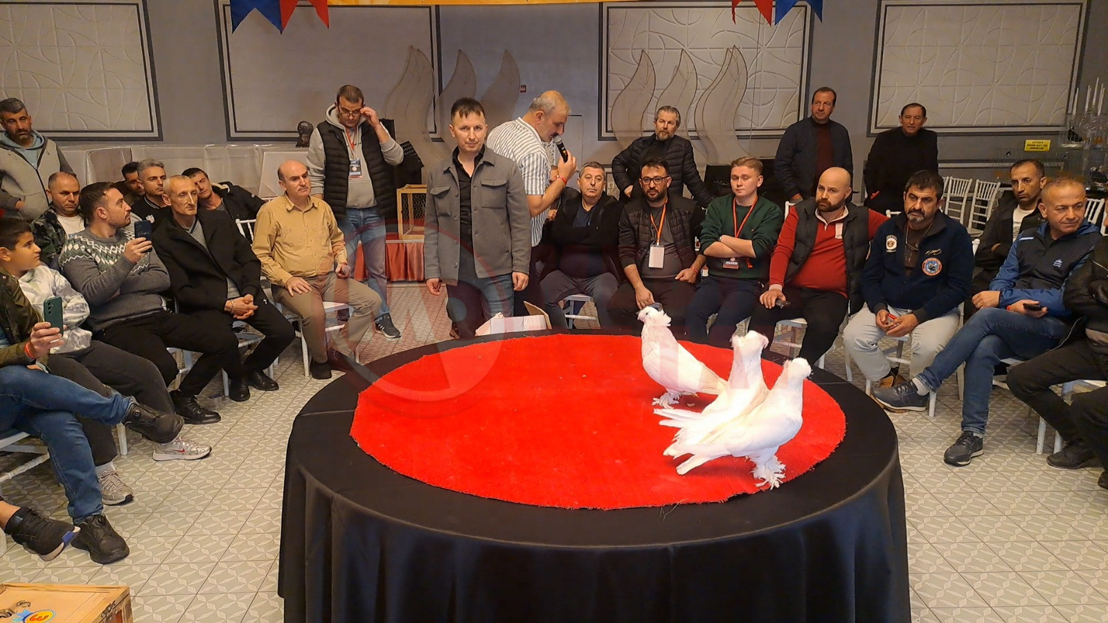 Whatsapp Image 2025 11 02 At 16.24.03 (1)