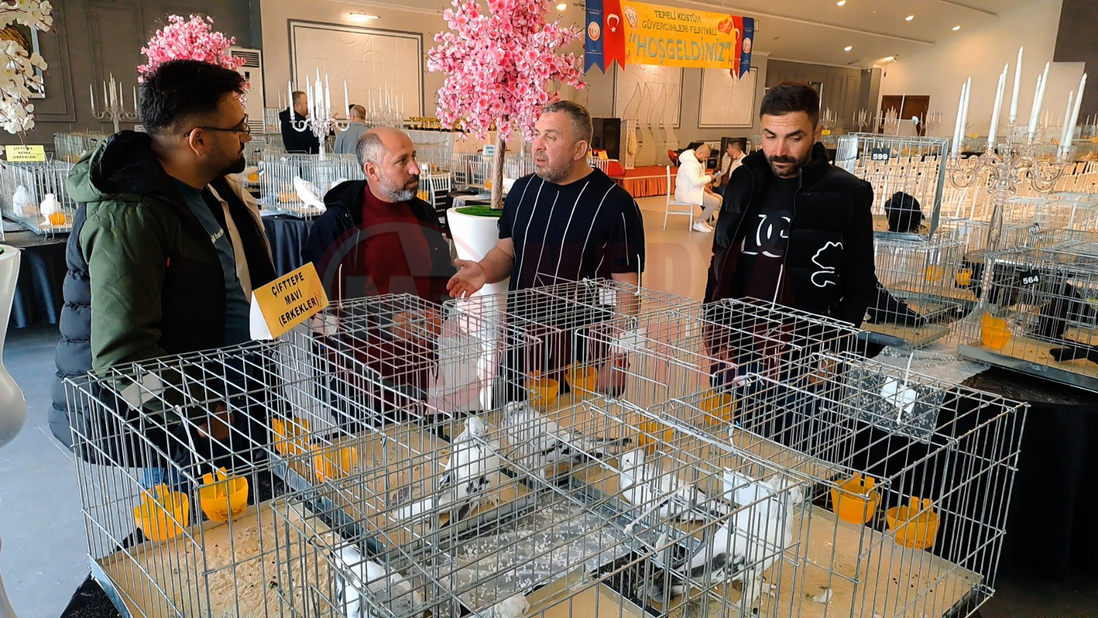 Whatsapp Image 2025 11 02 At 16.24.03