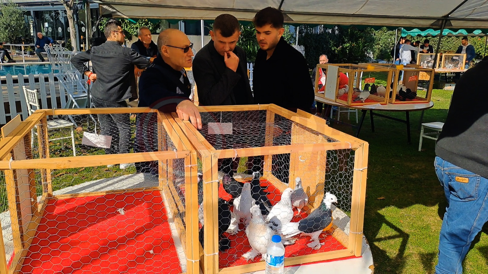 Whatsapp Image 2025 11 02 At 16.24.04