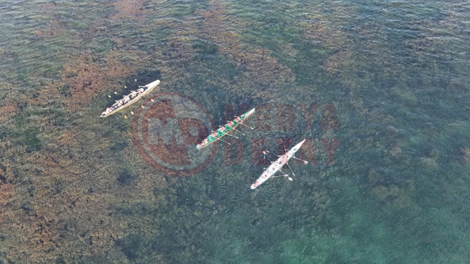 Whatsapp Image 2025 11 17 At 11.01.34 (2)