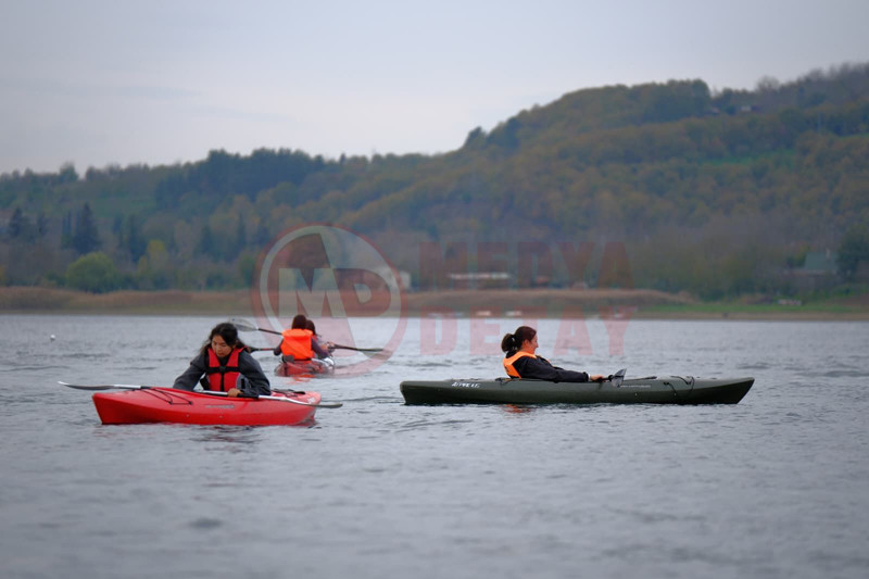 Farkindalik Etkinligi3