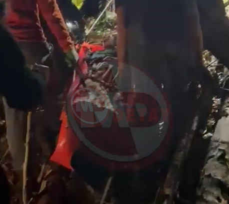 Orman Iscisini Kurtarma3