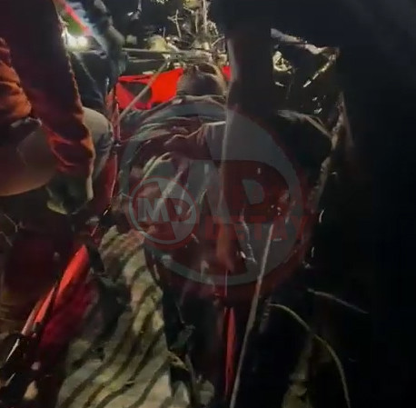 Orman Iscisini Kurtarma4