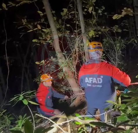 Orman Iscisini Kurtarma5