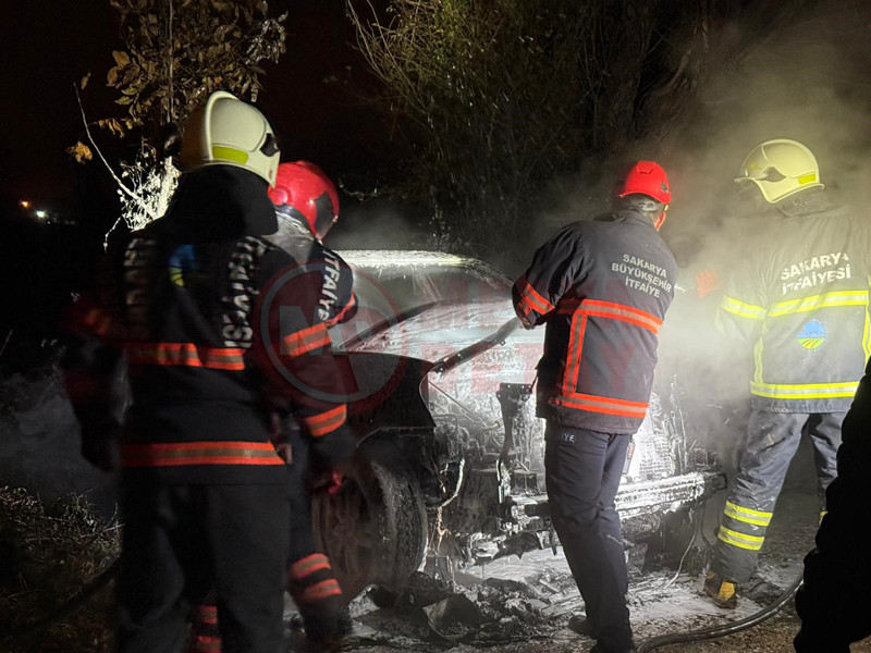 Otomobil Yangini4-1