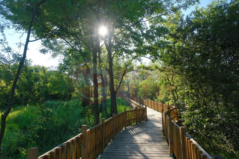 Sakarya Iki Yesil Noktaya Yuzbinlerce Ziyaretci (2)