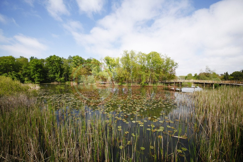 Sakarya Iki Yesil Noktaya Yuzbinlerce Ziyaretci (4)